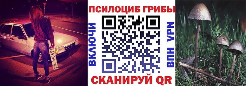 Псилоцибиновые грибы Cubensis  Ахтубинск 