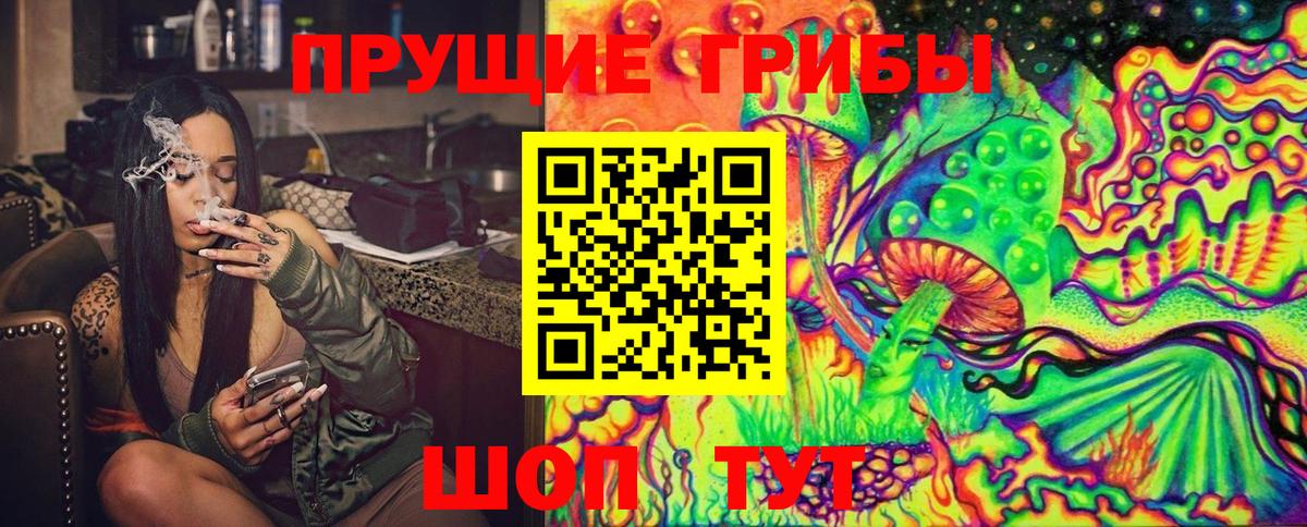 Галлюциногенные грибы Magic Shrooms Ахтубинск