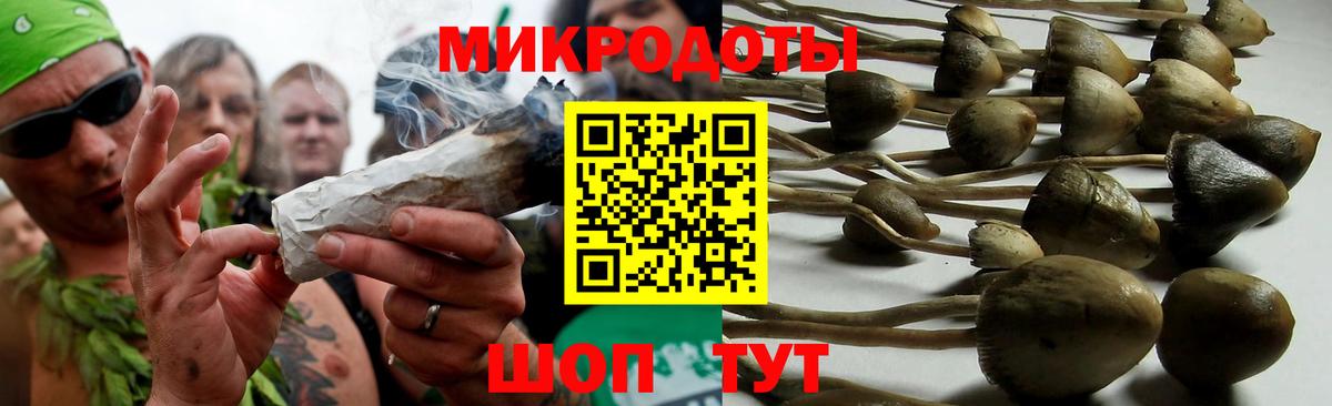 Псилоцибиновые грибы Psilocybe  Ахтубинск 